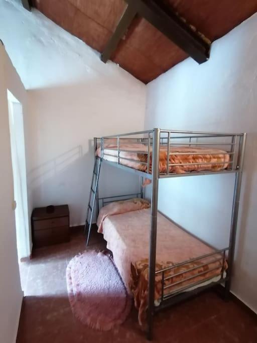 House Rural,biosphere Reserve World.taganana.tfe. Vakantiehuis *